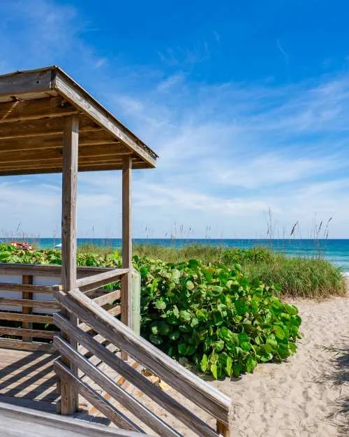 Wooden beach access steps beside sea oats and the ocean.